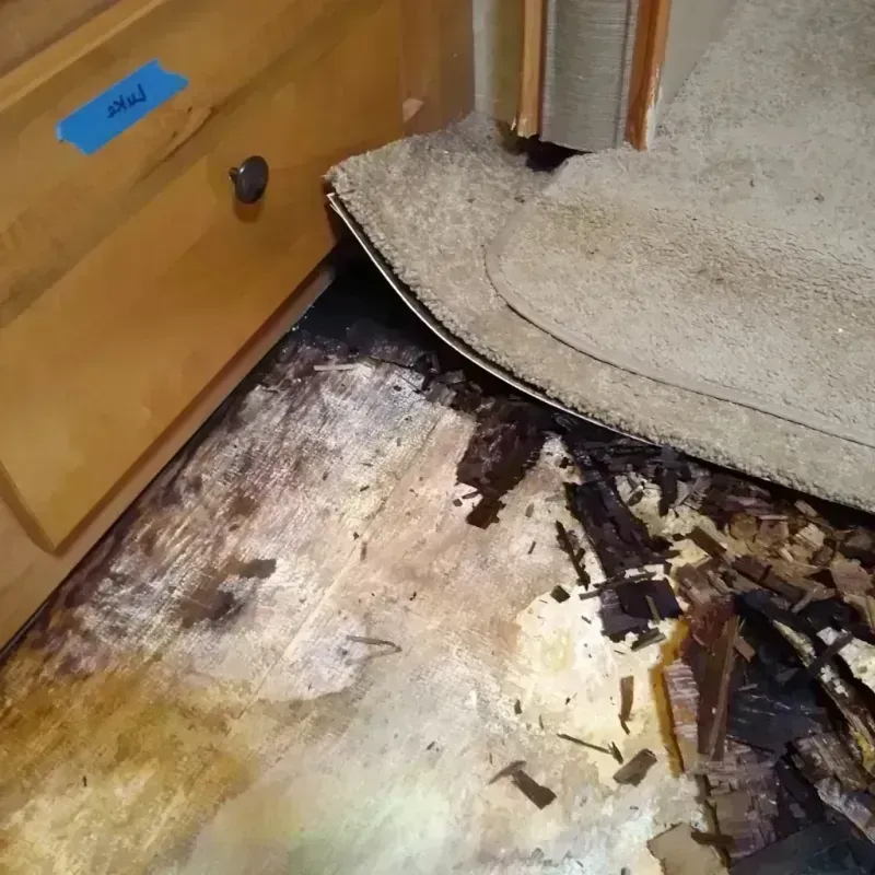 Wood Floor Water Damage in Fremont, NE